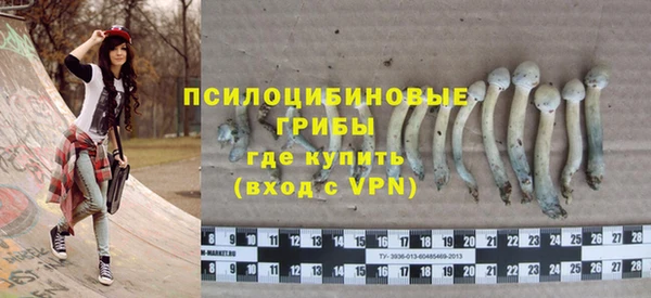 ECSTASY Верхний Тагил