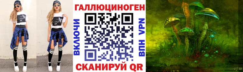магазин продажи наркотиков  Нестеровская  Галлюциногенные грибы Psilocybe 